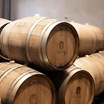 krevet i doručak Saints Hills Cantina Visnjan