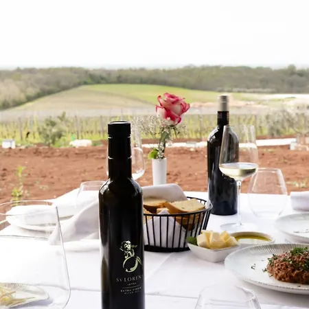 Saints Hills Cantina Višnjan