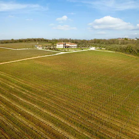 ベッド・アンド・ブレックファスト Saints Hills Cantina Višnjan