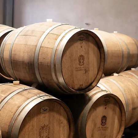 B&B Saints Hills Cantina Višnjan