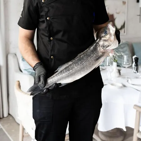 Saints Hills Cantina Višnjan