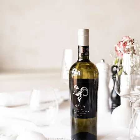 Saints Hills Cantina B&B Višnjan