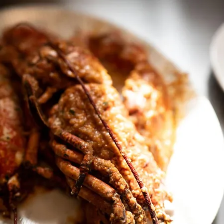 Saints Hills Cantina 4* Višnjan