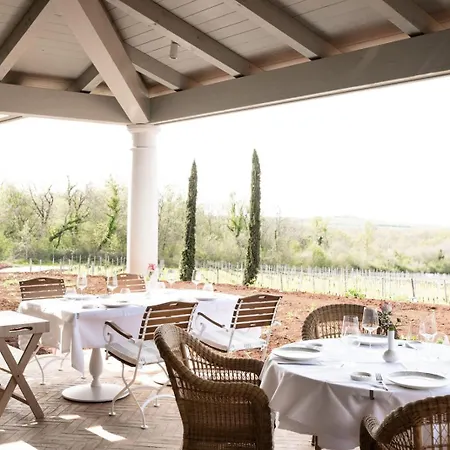 Saints Hills Cantina Višnjan